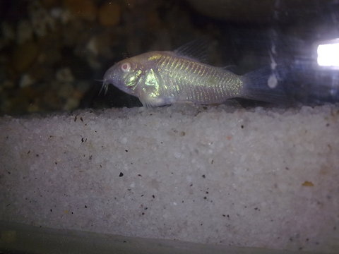 20122010474.jpg