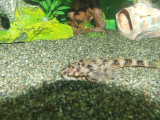 DSCF2917.jpg