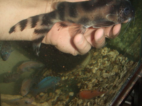 2011_02180028.JPG