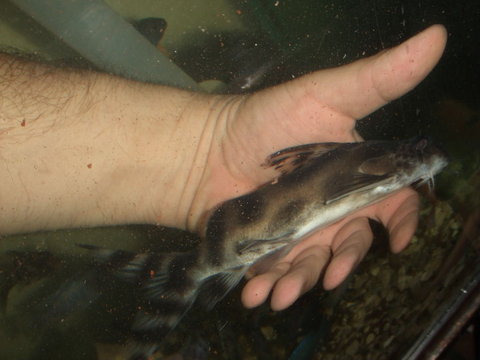 2011_02180029.JPG