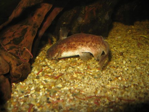 IMG_1425.jpg
