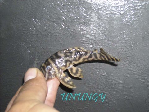 DSCN0546.jpg