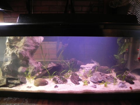 DSCN5293.JPG