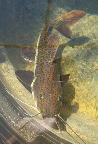 100_4149.JPG