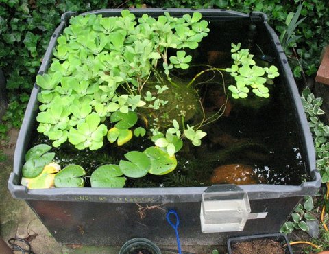 Tub 2, pump is on the upper right side of the tub.