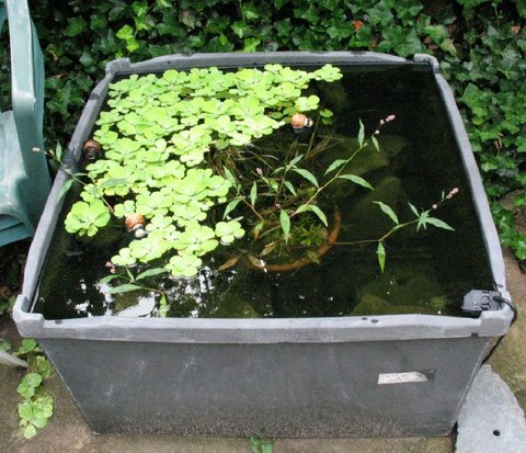 Tub 1, pump is on the lower right of the tub.