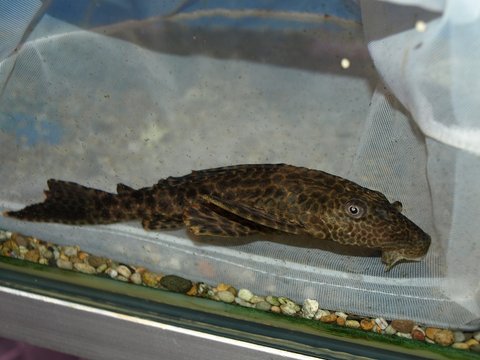malen 035small.jpg