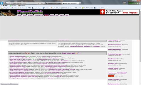 homepage.jpg