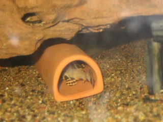IMG_3296.jpg