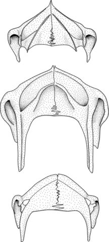 Fig. 12.jpg