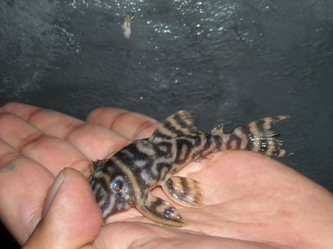DSCN0549.JPG