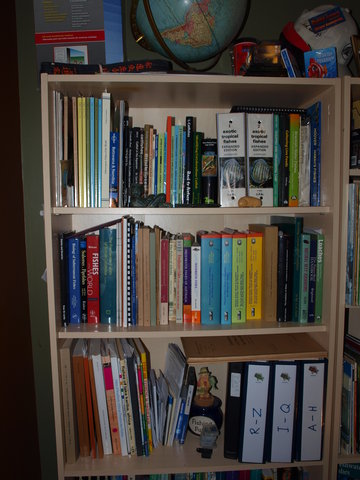PC090966.JPG