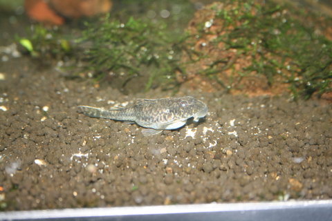 IMG_4140.JPG