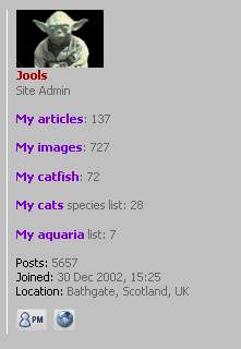 jools.jpg