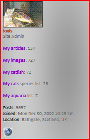 jools.GIF