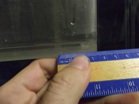 scale to show egg size
