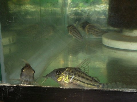 DSCF7310.JPG