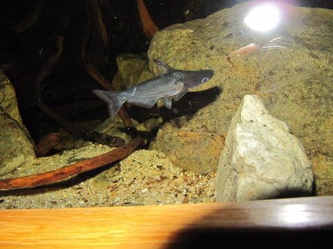 IMG_4329.JPG