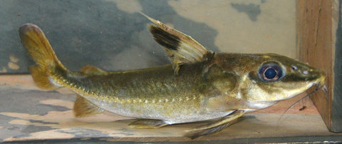 DSC_0930cs1s.jpg