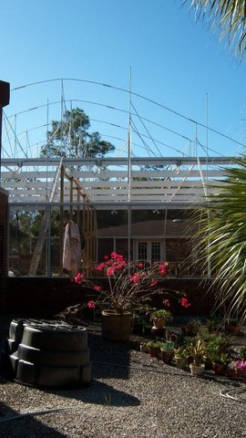 Greenhouse 2.JPG