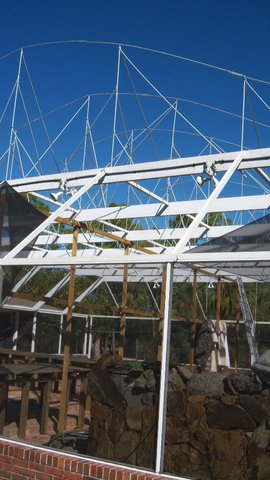 Greenhouse 5.JPG