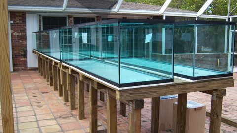240 gal 3.JPG
