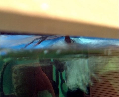 2012-02-01_21-15-59_790.jpg
