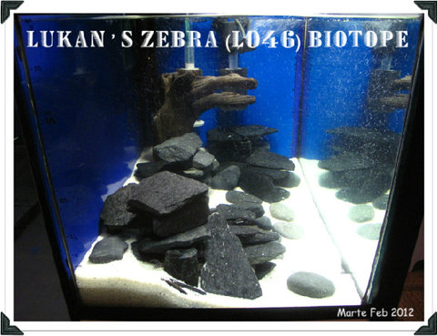 FTS front.jpg
