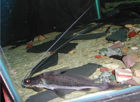 DSCN6032#001.jpg