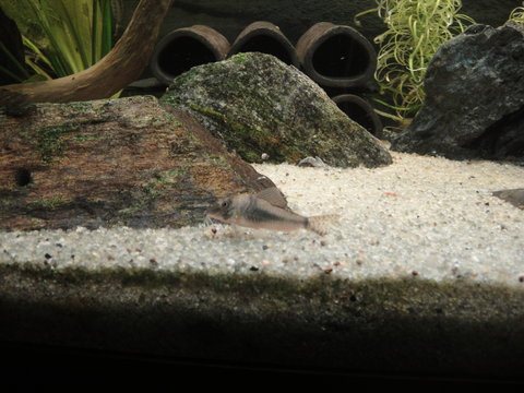 DSC03800.JPG