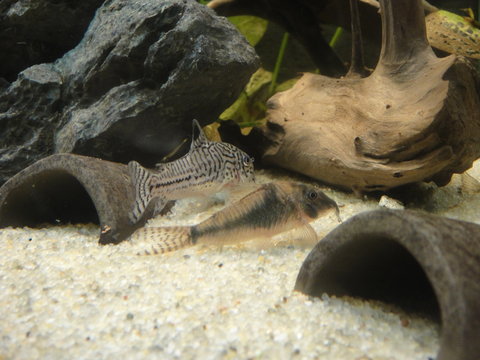DSC03813.JPG