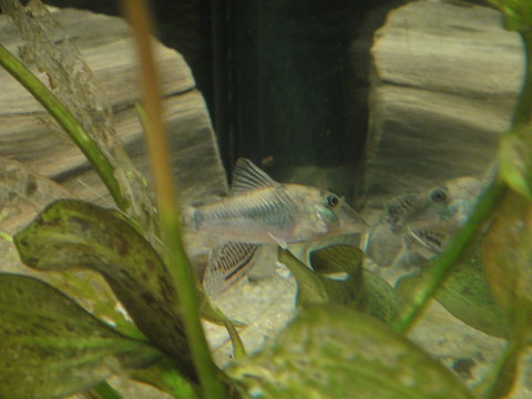 DSC03815.JPG