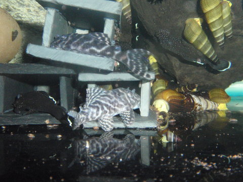 P3220148.JPG
