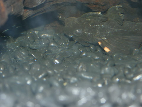 P4114288.JPG
