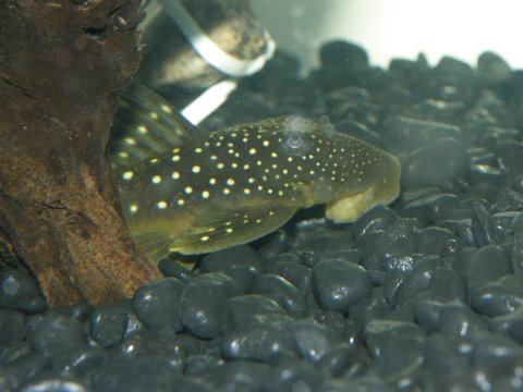 P4094260.JPG