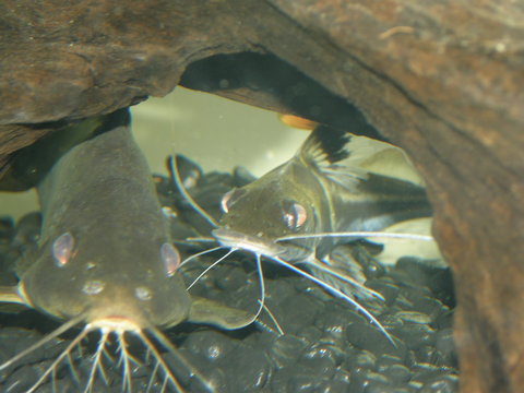 P4124254.JPG