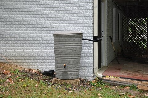 DSC_0642.JPG
