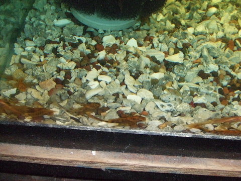 2012_05030009.JPG