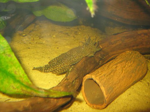 IMG_4269.jpg