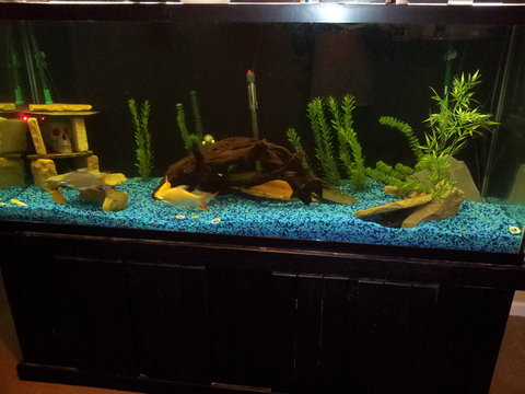 2012-05-16 23.18.11.jpg