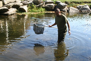 Catfish collecting with Bronzefry &amp; Dinyar at Unicorn Lake