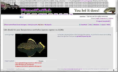 Photoupload.jpg