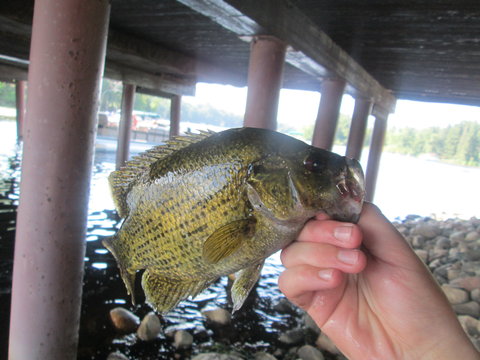 IMG_0393.JPG
