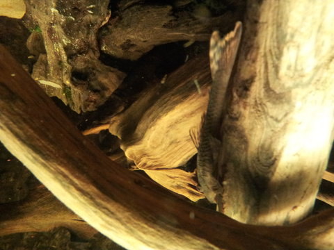 20120723_212313.jpg