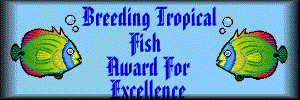 Breeding Tropical Fish Award For Exellence