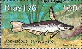 Ageneiosus inermis