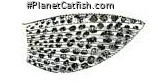 Hypostomus niceforoi