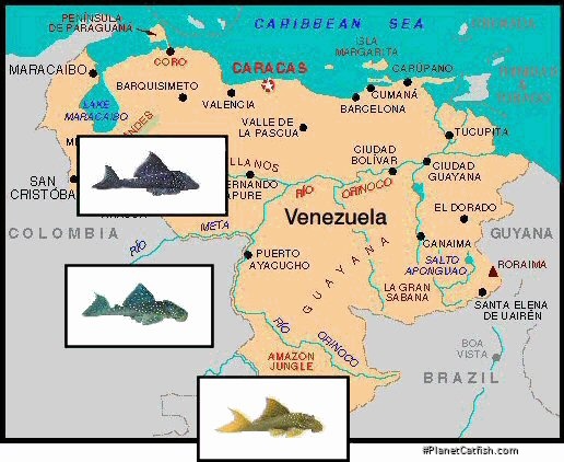 Map of venezuela with 3 pictures of L128 & L200