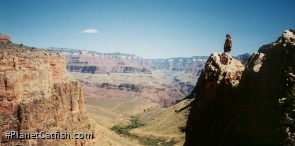 Jools - Grand Canyon