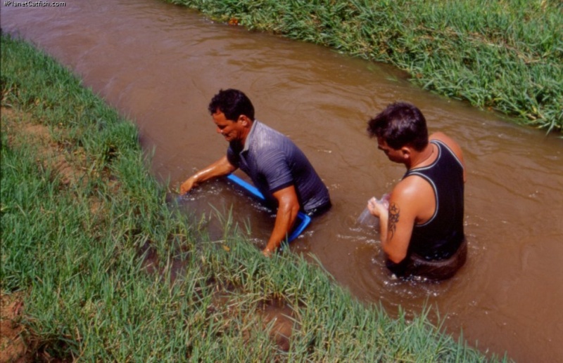 Maik (left) and co-worker collecting